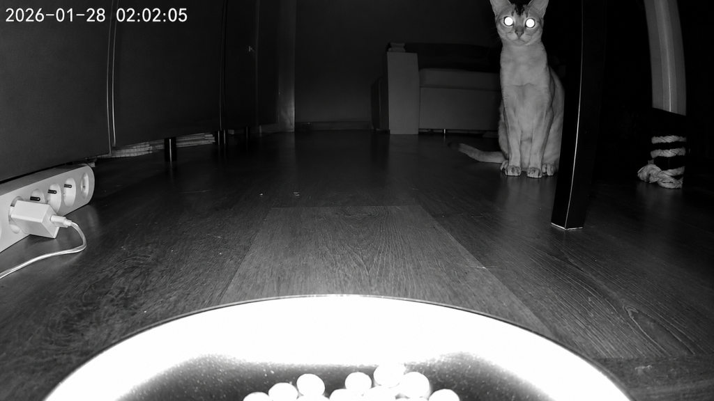 indbygget kamera til overvågning af katten