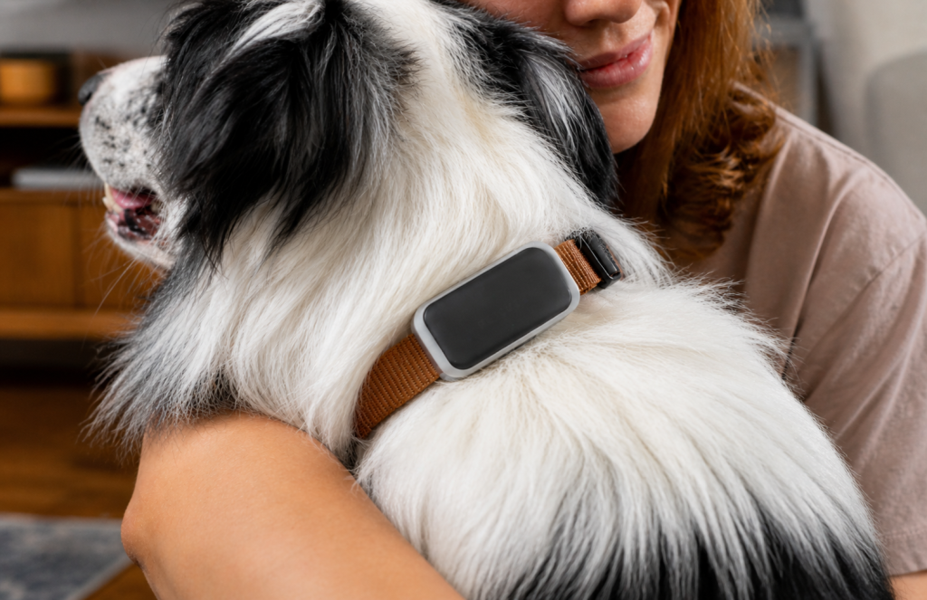 GPS-tracker 