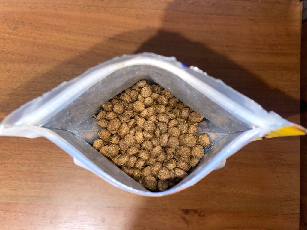 Katten som obligat rovdyr – hvad det betyder for kosten